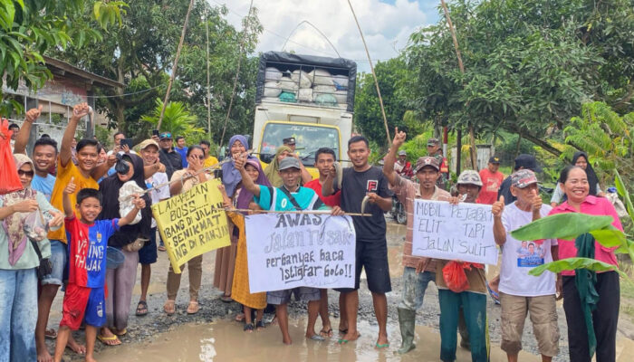 Warga Protes Jalan Rusak dengan Tabur Ikan Lele, Bupati Lampung Selatan Apresiasi Kritik Kreatif