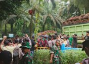 Bentrokan Pecah di Perkebunan PT SIL Bengkulu Utara, Polisi Tembakkan Senjata Saat Bubarkan Massa Penjarah Sawit