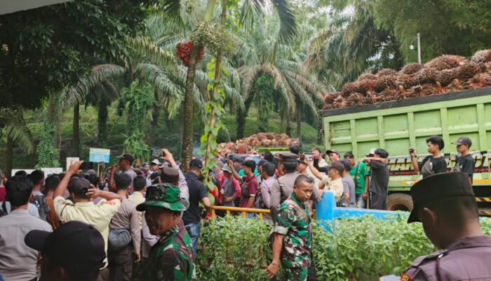 Ormas Garbeta Bantah Tuduhan Penjarahan Sawit: Itu Hasil Kebun Warga, Bukan Milik PT SIL