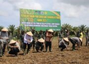 Kodim 0423 Bengkulu Utara Perdana Tanam Padi Gogo, Dukung Program Kementan
