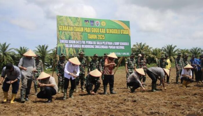 Kodim 0423 Bengkulu Utara Perdana Tanam Padi Gogo, Dukung Program Kementan