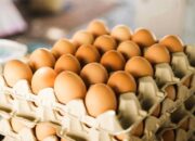 Indonesia Jadikan Telur Sebagai Alat Negoisasi Tarif Impor Presiden Amerika