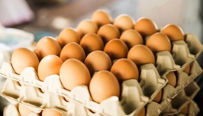 Indonesia Jadikan Telur Sebagai Alat Negoisasi Tarif Impor Presiden Amerika