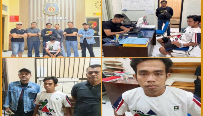 DPO Kasus Pencurian Diamankan Usai Diserang Beruang