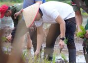 Bupati Bengkulu Utara Tinjau Kebutuhan Jalan Pertanian dan Bantu Lansia di Enggano