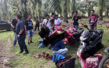 Polres Kaur Gerebek Dugaan Judi Sabung Ayam dan Dadu, Tiga Orang Diamankan