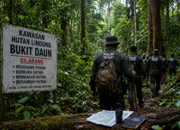 KPHL Bukit Daun Terkendala Anggaran dan Personel, Penegakan Hukum Hutan Lindung Belum Maksimal