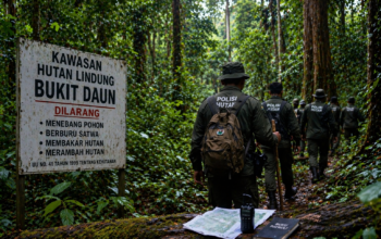 KPHL Bukit Daun Terkendala Anggaran dan Personel, Penegakan Hukum Hutan Lindung Belum Maksimal