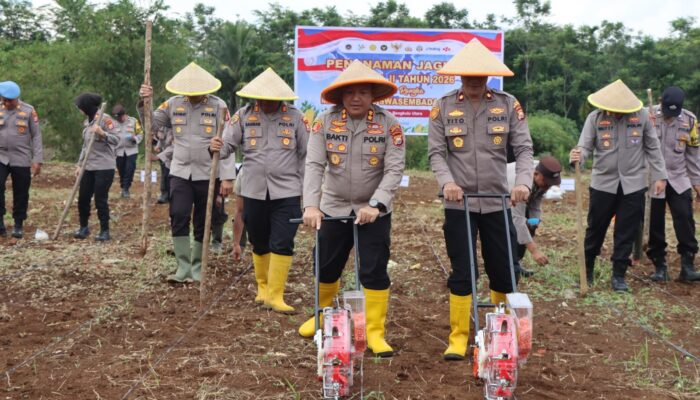 Dukung Ketahanan Pangan, Polres Bengkulu Utara Tanam Jagung dan Perkuat Sinergi dengan Lapas Arga Makmur