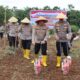 Dukung Ketahanan Pangan, Polres Bengkulu Utara Tanam Jagung dan Perkuat Sinergi dengan Lapas Arga Makmur