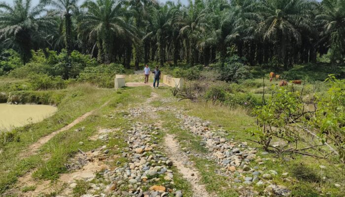 Kolam Ikan Desa Suka Medan Tak Terawat, Realisasi Anggaran 2023–2025 Dipertanyakan